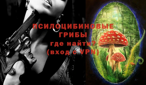 прущие крисы Абаза
