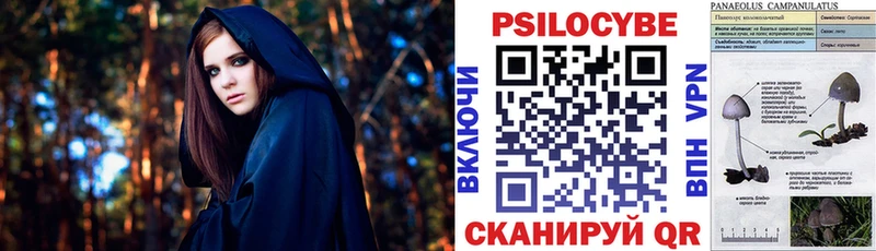 Псилоцибиновые грибы GOLDEN TEACHER  купить наркоту  Солигалич 